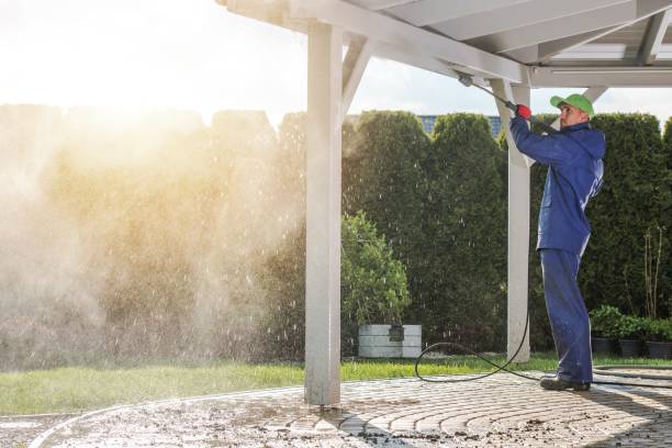 Best Driveway Cleaning and Restoration in Spring, TX
