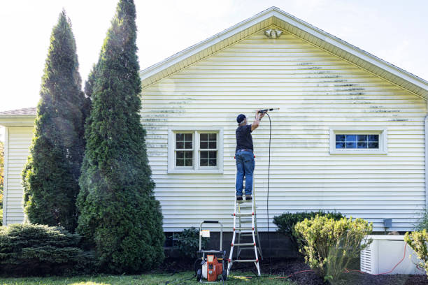 Vinyl Siding Pressure Washing